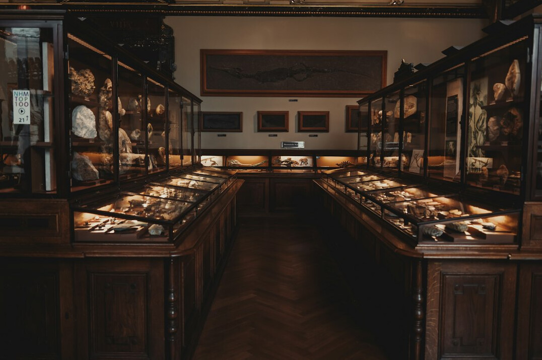 museum exhibition display